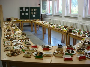 Pilzausstellung Sept. 2005 im BG b